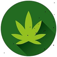 NuTeir Hemp logo